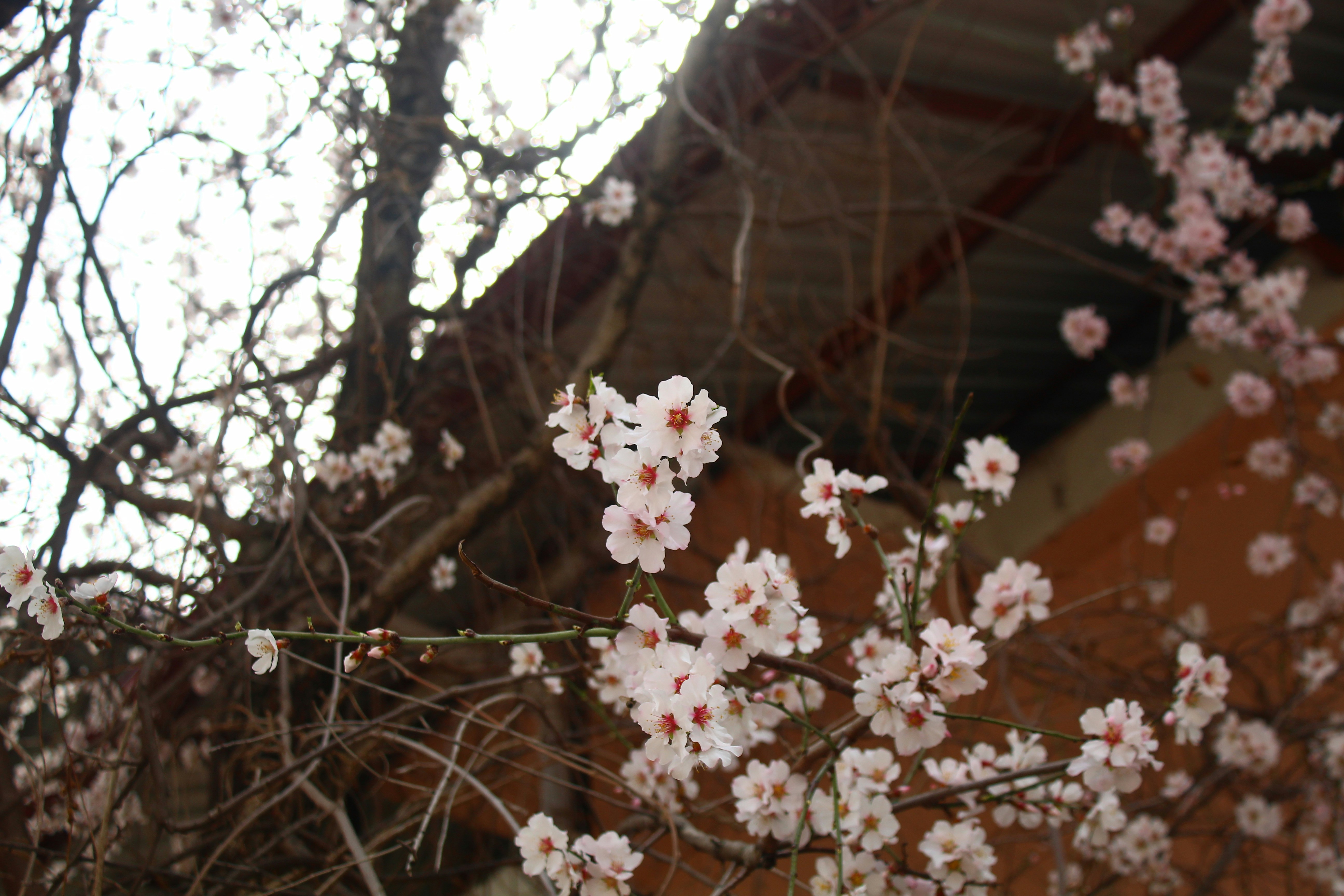 Photo by sevaltorun