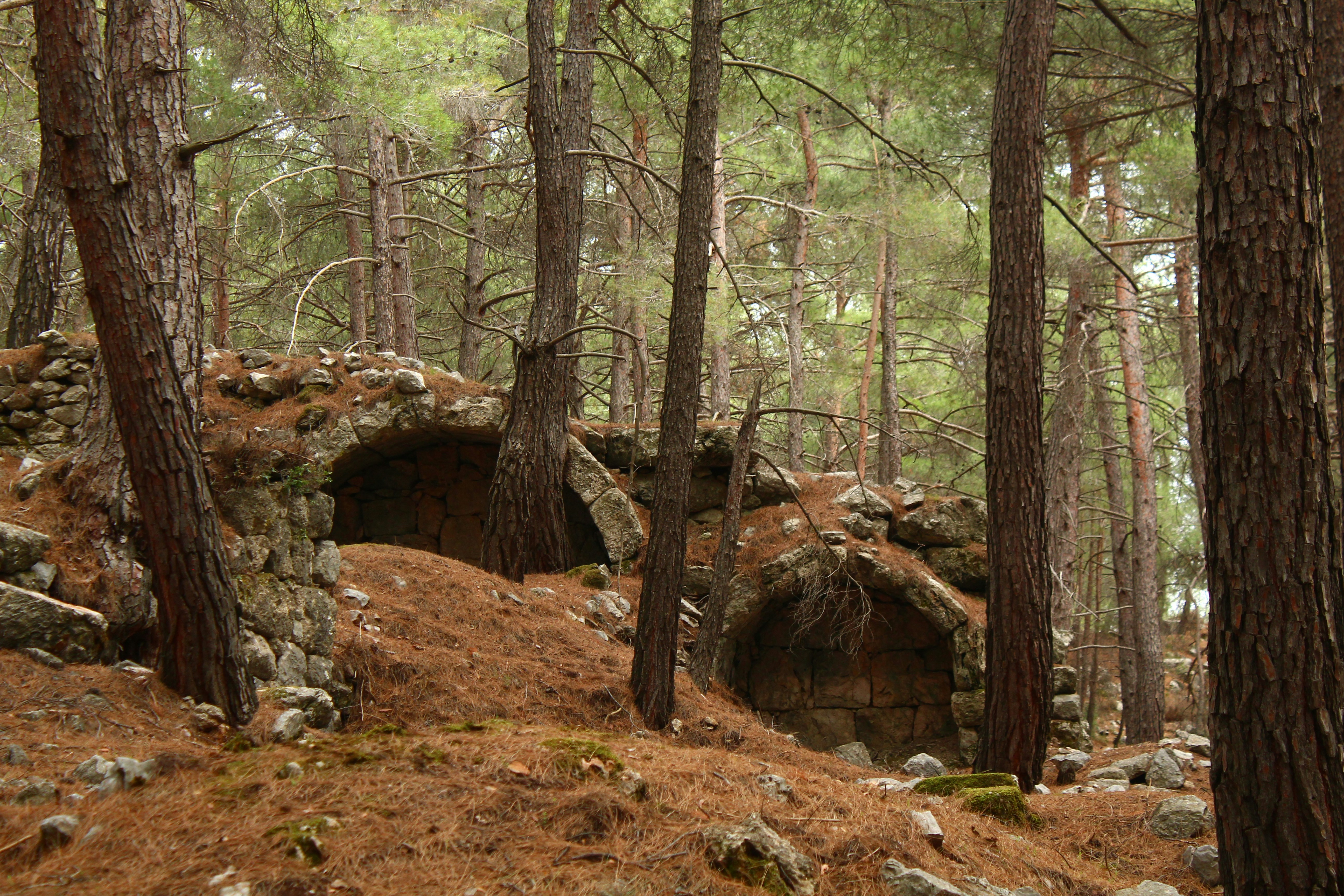 洞窟のなかの心 原神】棘の嚢胞を倒す豪華な宝箱とアチーブメント「タイムゾーン