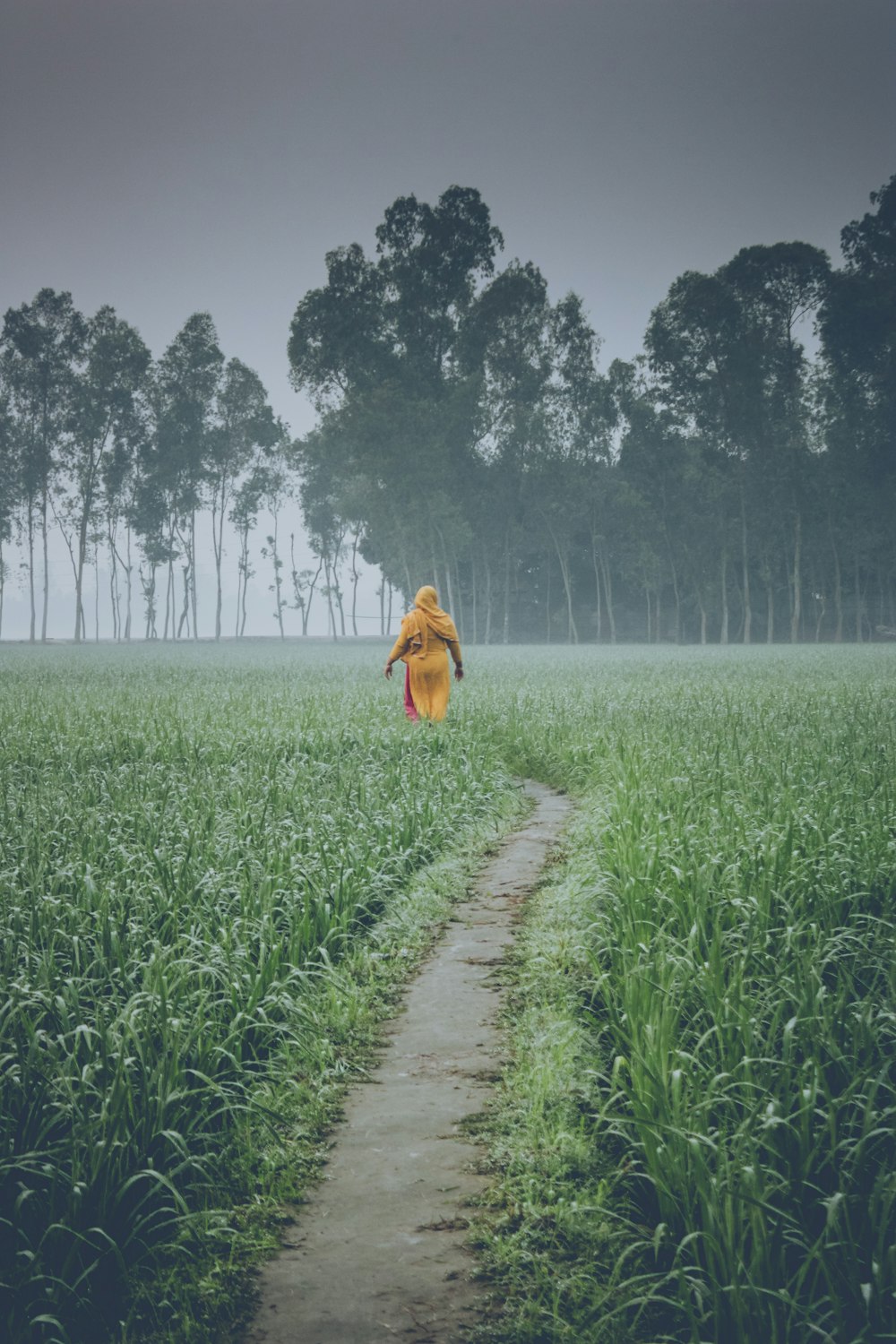 a person in a field with a teddy bear