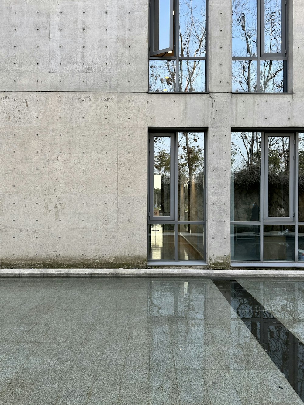 a large building with windows reflecting trees in the windows