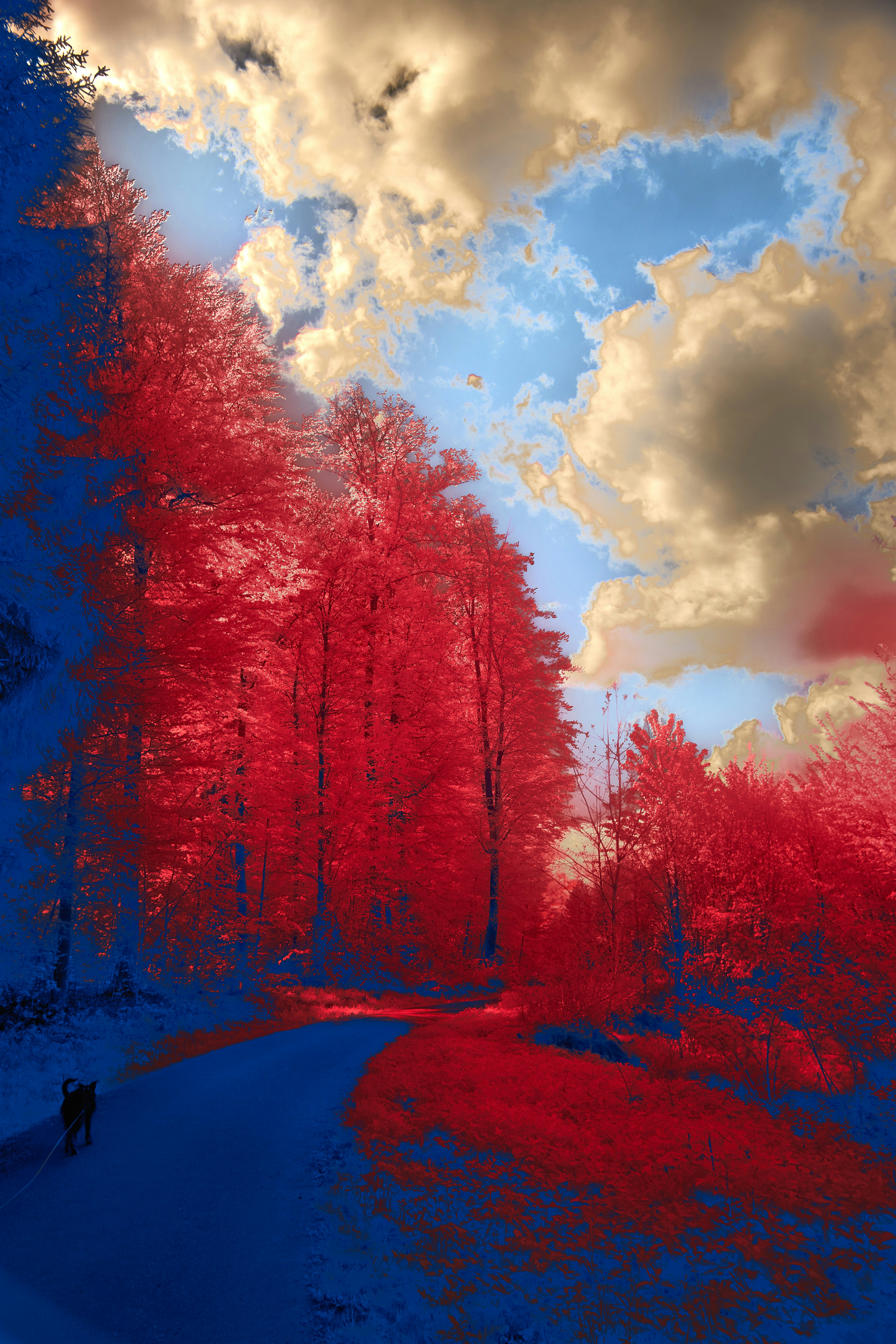 Photo by wolfgang_hasselmann