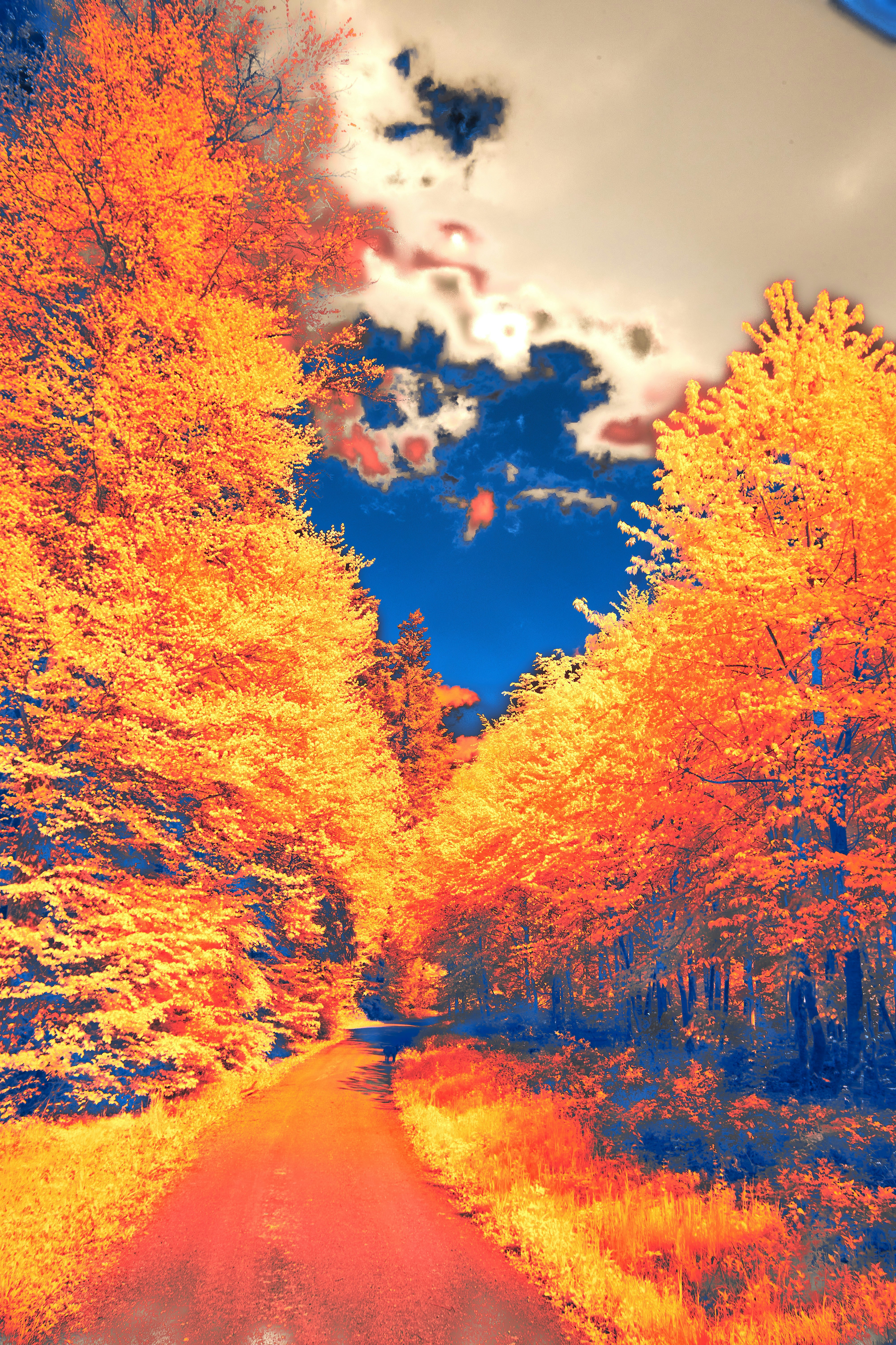 Photo by wolfgang_hasselmann