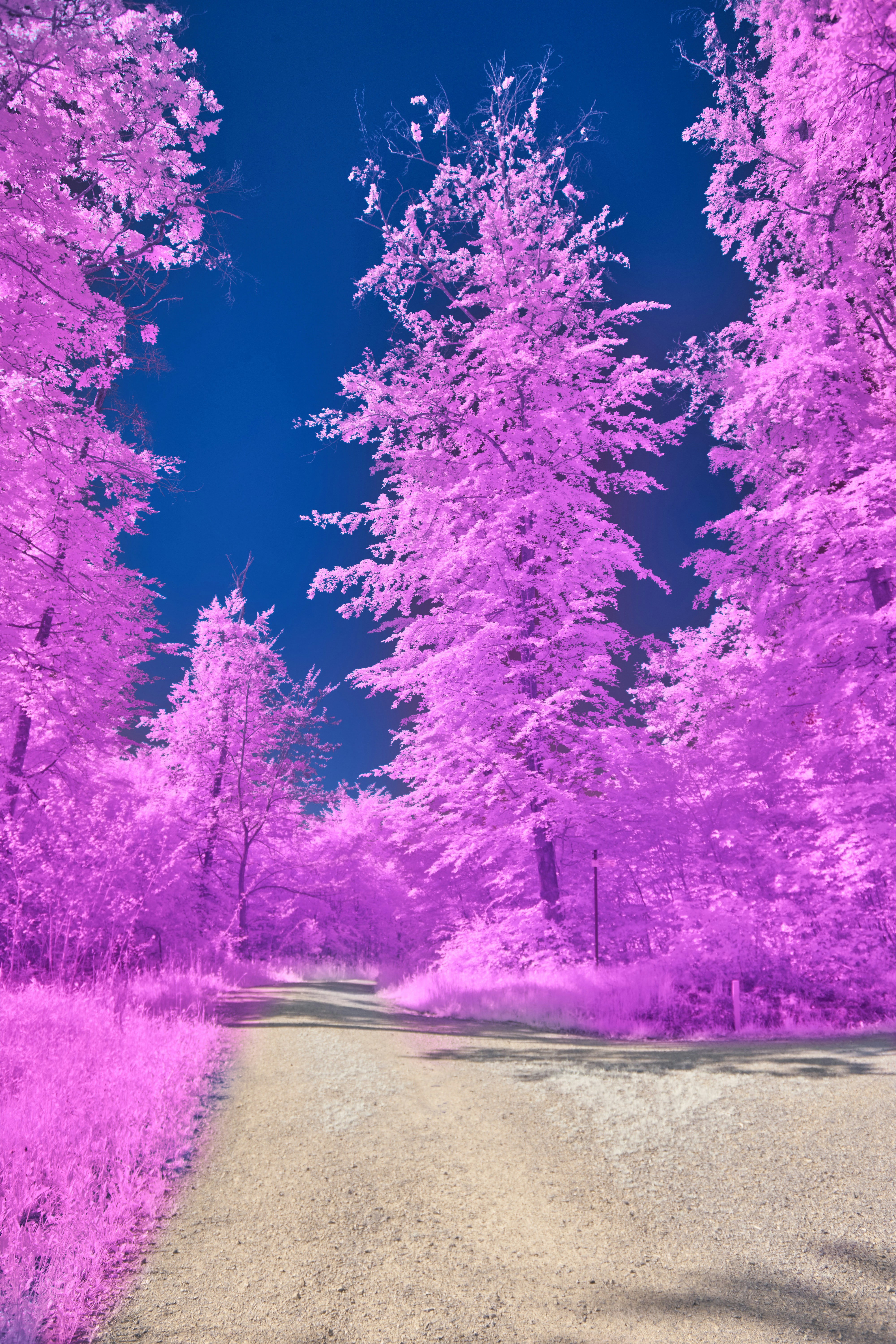 Photo by wolfgang_hasselmann