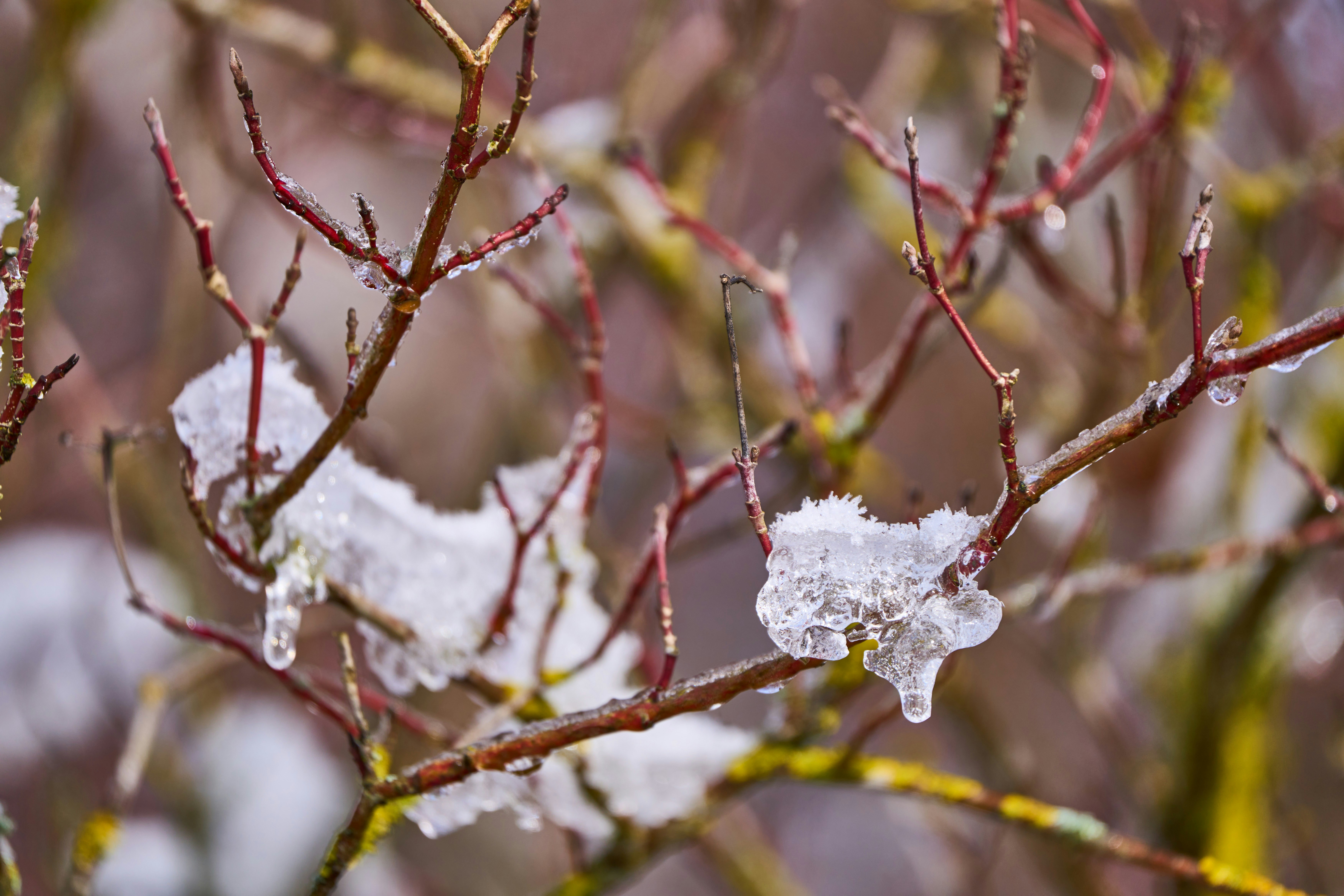 Photo by wolfgang_hasselmann