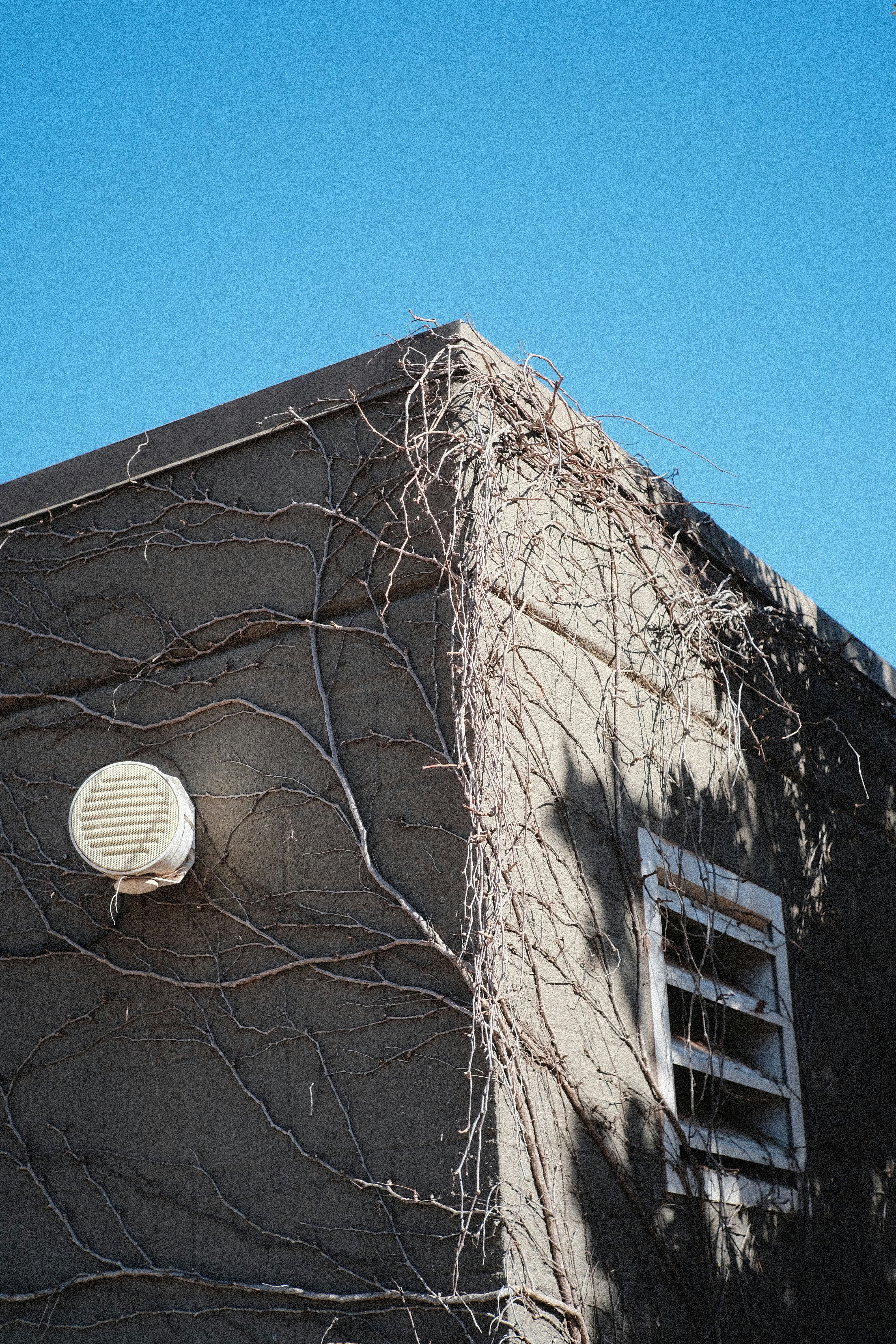 a building with vines growing on the side of it