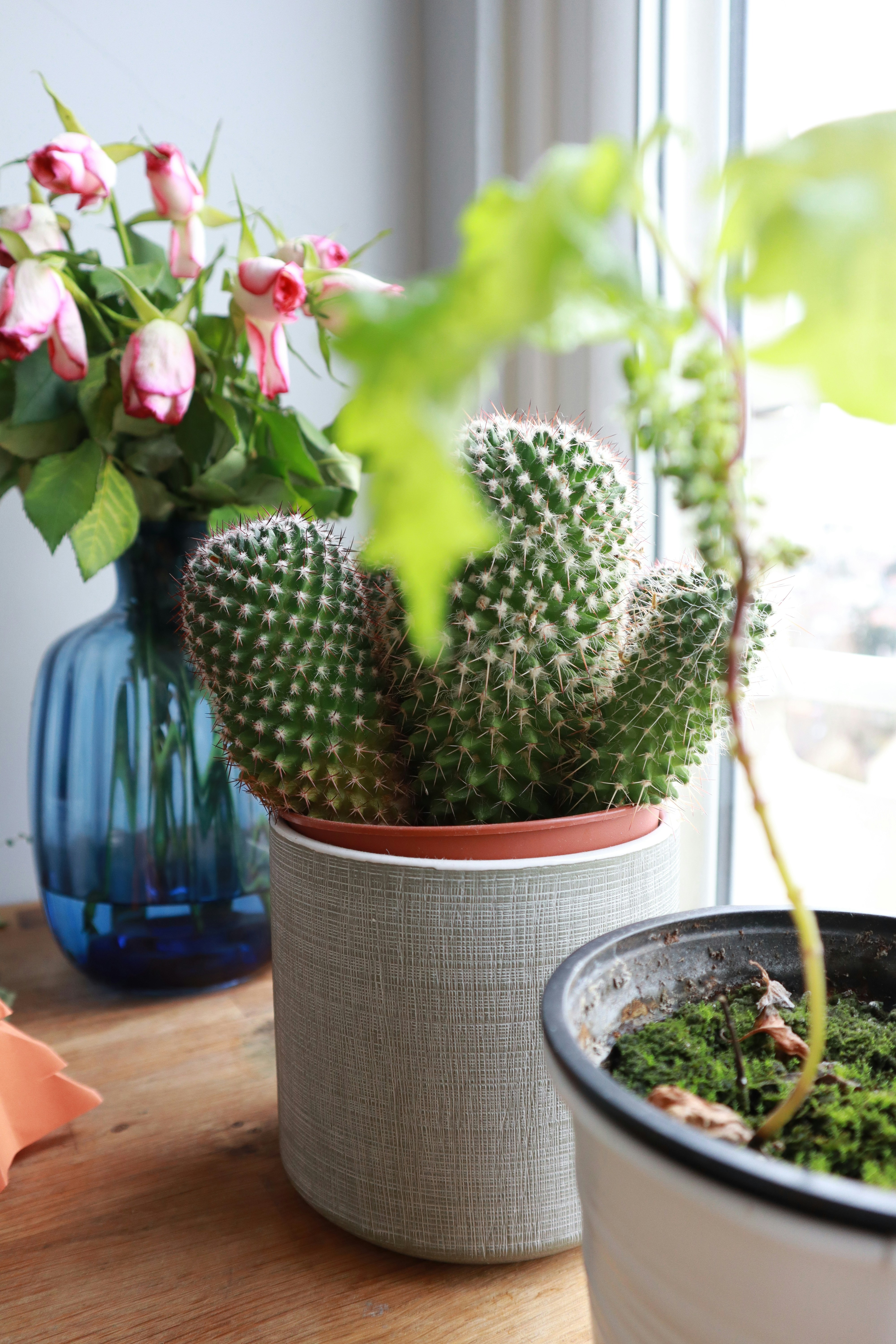 Photo by everydayparis