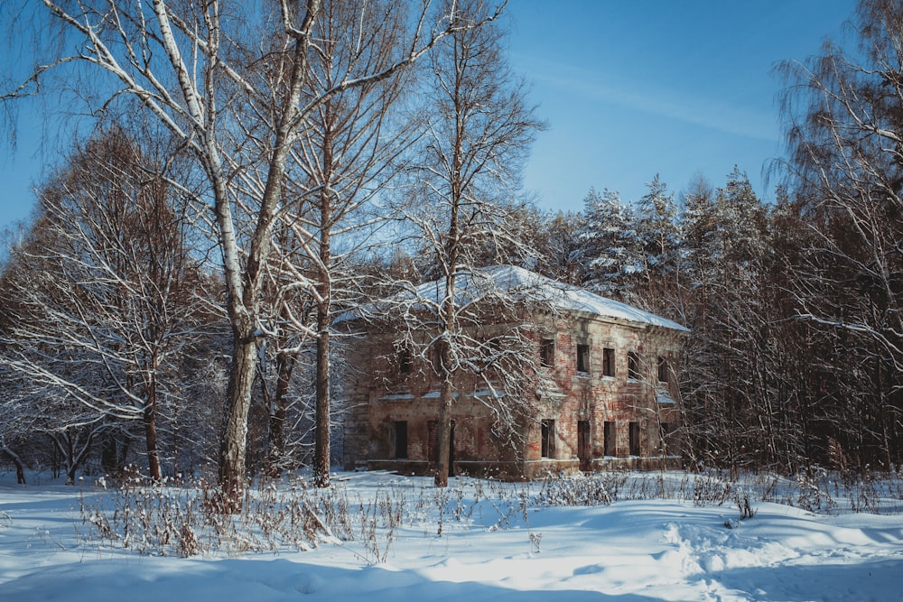 Ein Haus im Schnee umgeben von Bäumen