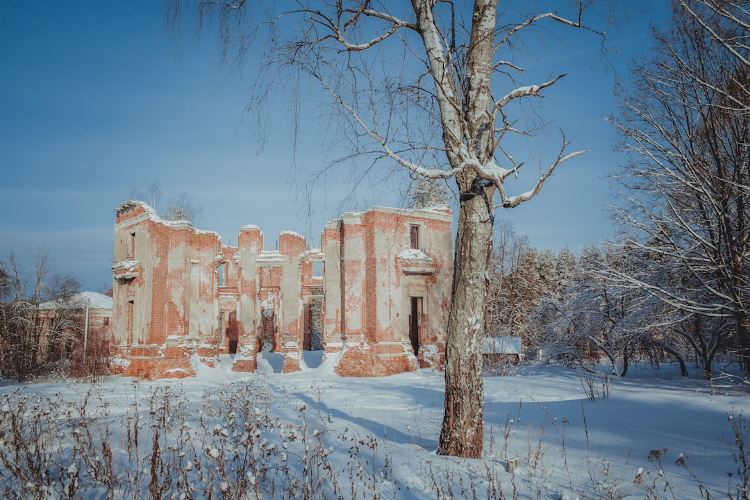 a large brick building sitting next to a tree, Abandoned House