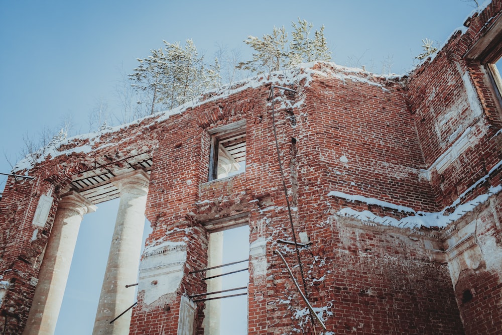 a brick building with trees growing out of it