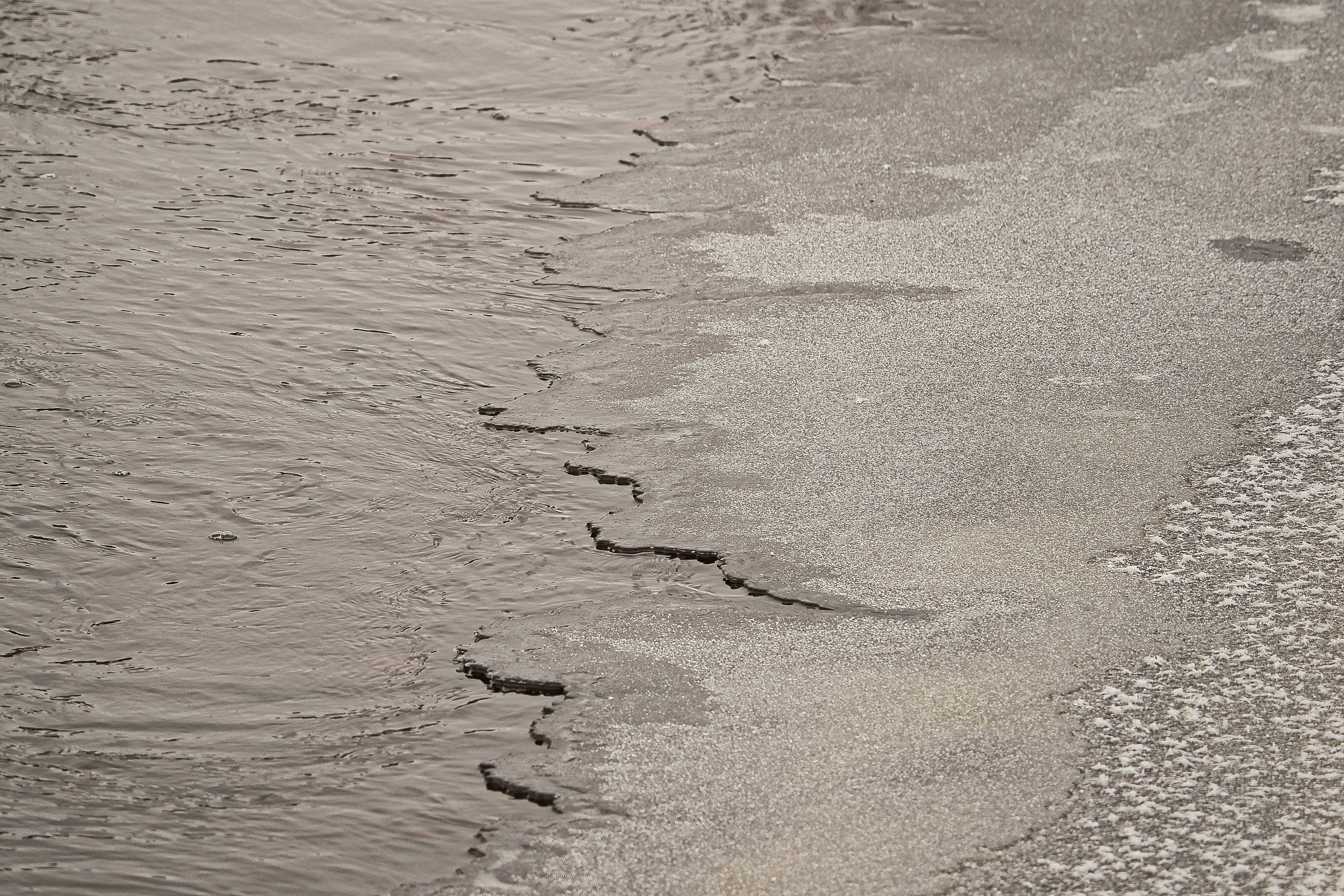 Photo by andruslukas