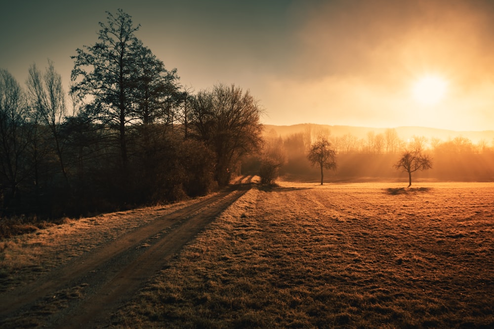 a dirt road in the middle of a field