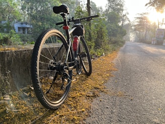 a bicycle parked on the side of a road