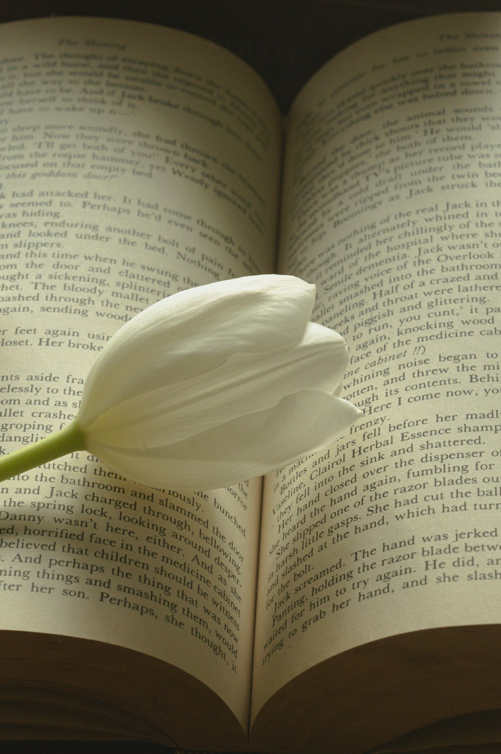 a single white flower sitting on top of an open book