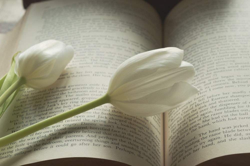 a white flower sitting on top of an open book
