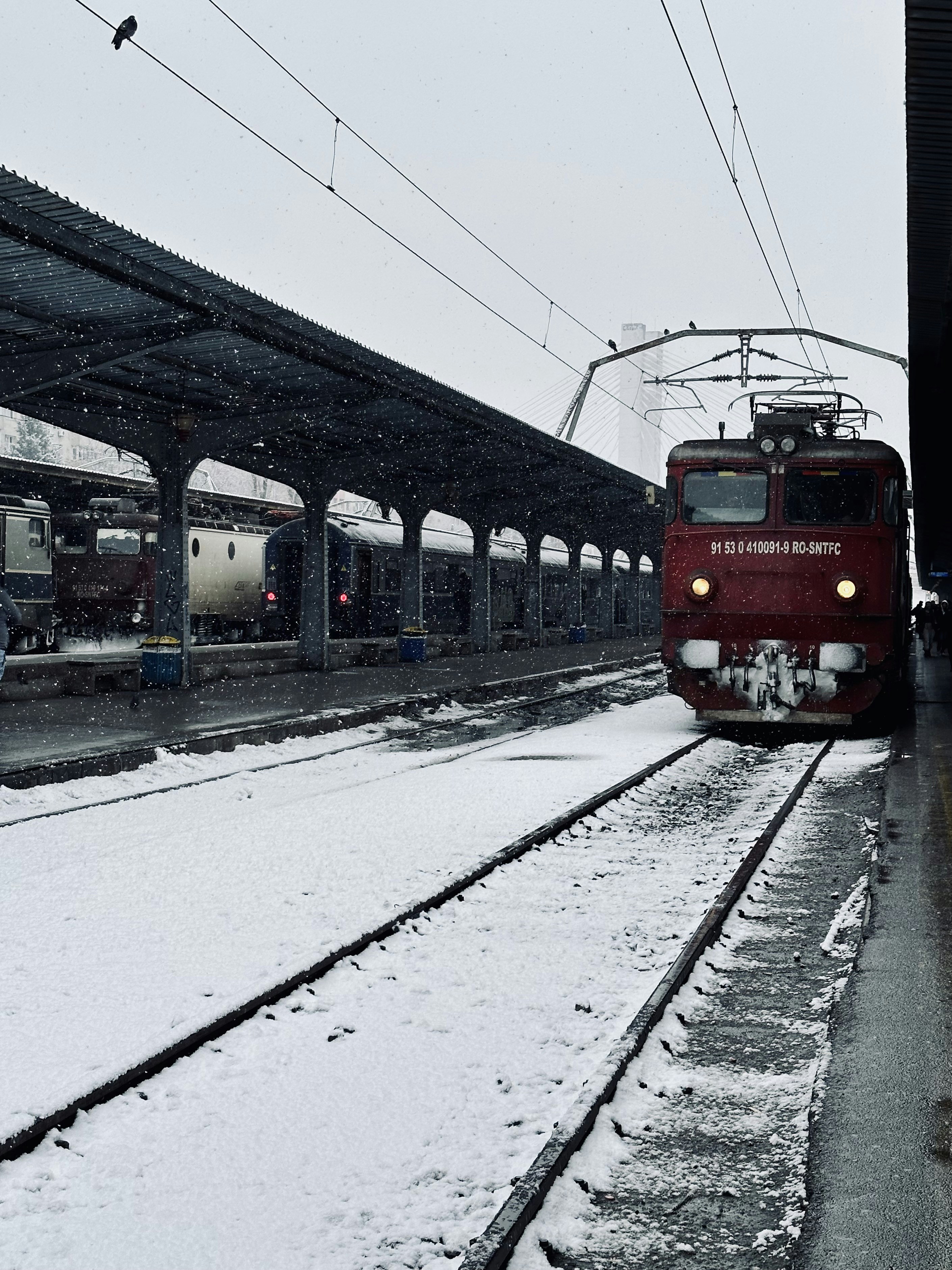 Photo by catalindumitrascu