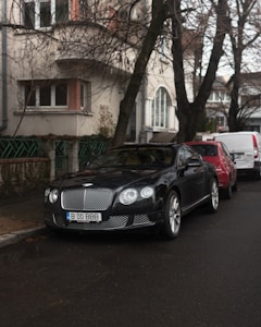 A black luxury car is parked on a street lined with trees. The background features residential buildings with large windows. The atmosphere is calm, with wet pavement suggesting recent rain.