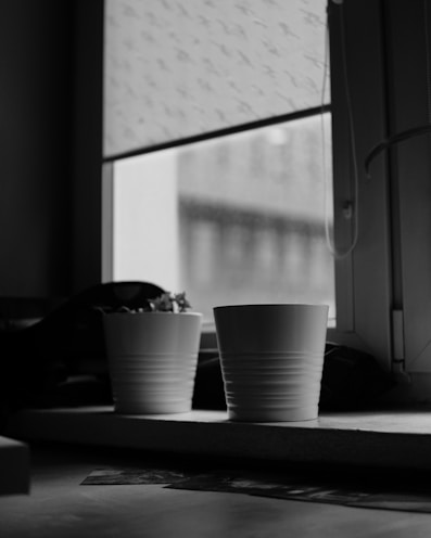 Modern, minimalist pots arranged on a windowsill with morning light.