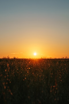 A striking photo of a sunset with deep orange hues blending into a sky blue horizon over a grassy field.