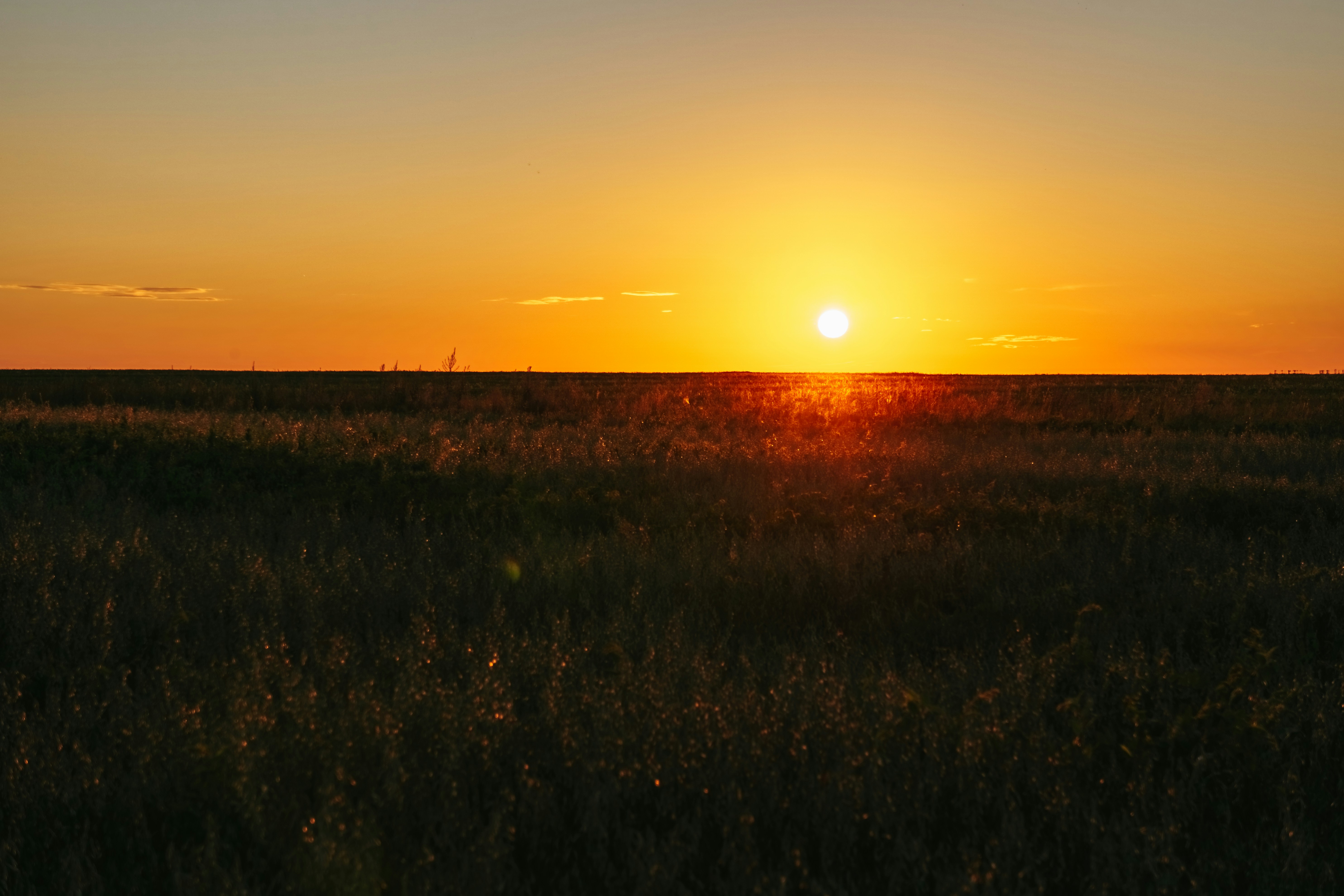 Photo by igorharrier