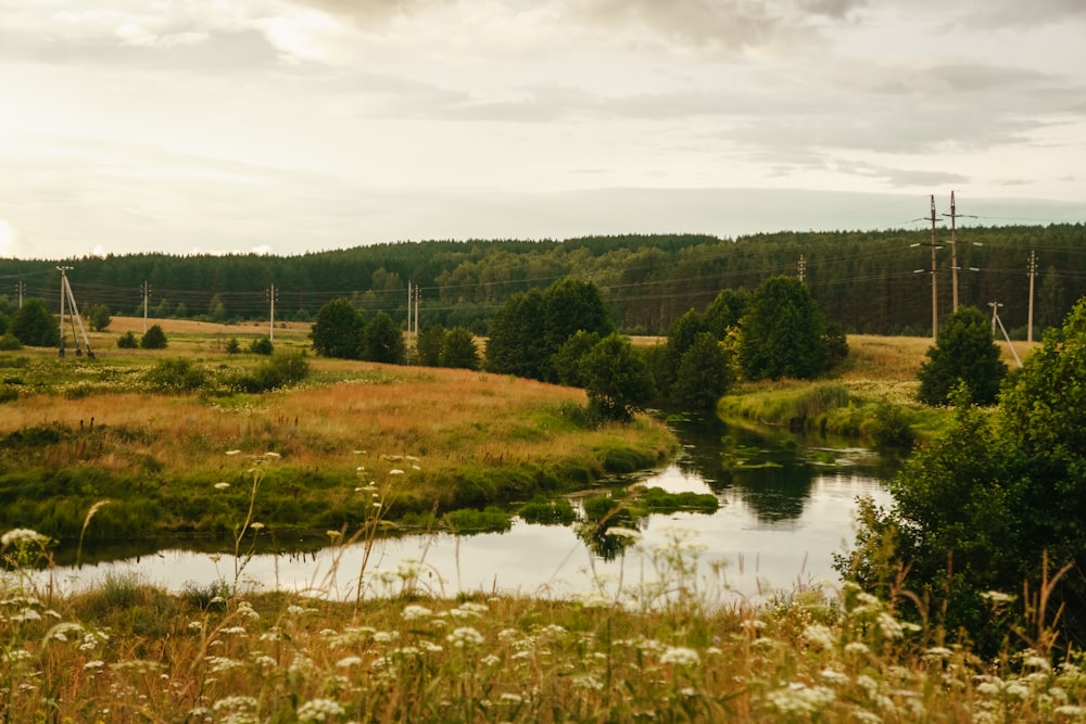 a river running through a lush green countryside