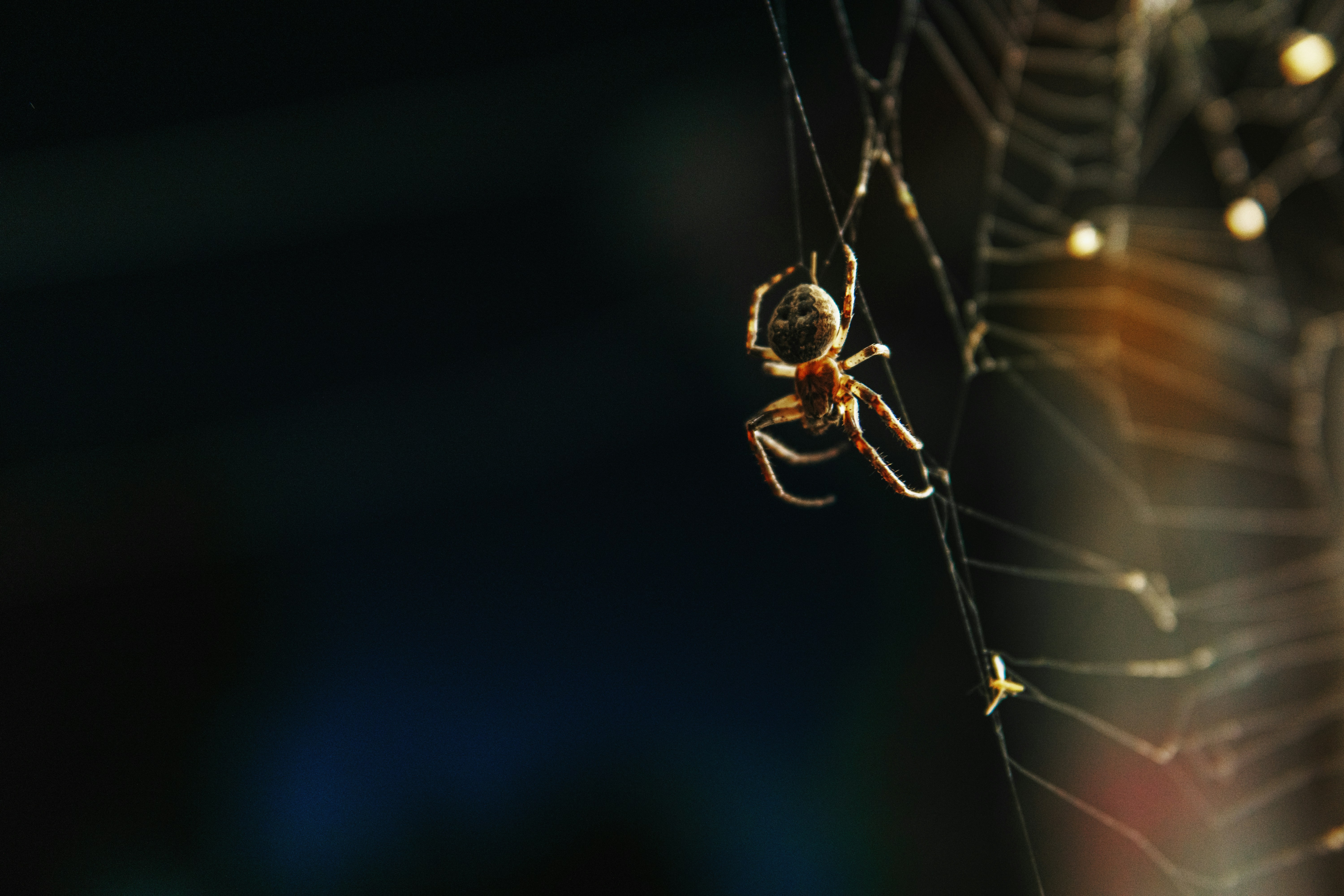 Top Spiderman Quotes That Inspire Hope, Strength & Tears