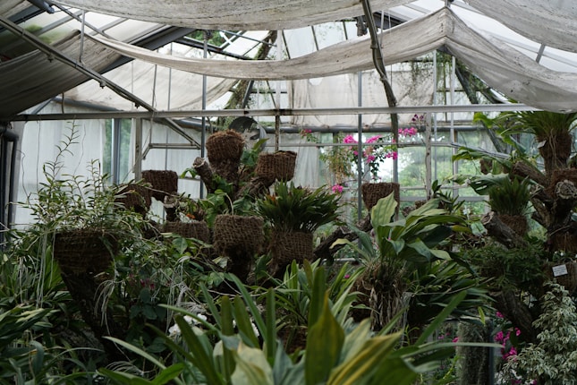 A lush greenhouse filled with various tropical plants and ferns. The plants are arranged in baskets and mounted vertically against a backdrop of glass windows. Pink flowers peek through the greenery, adding vibrant color. The greenhouse structure is made of glass and metal, allowing natural light to permeate the space.