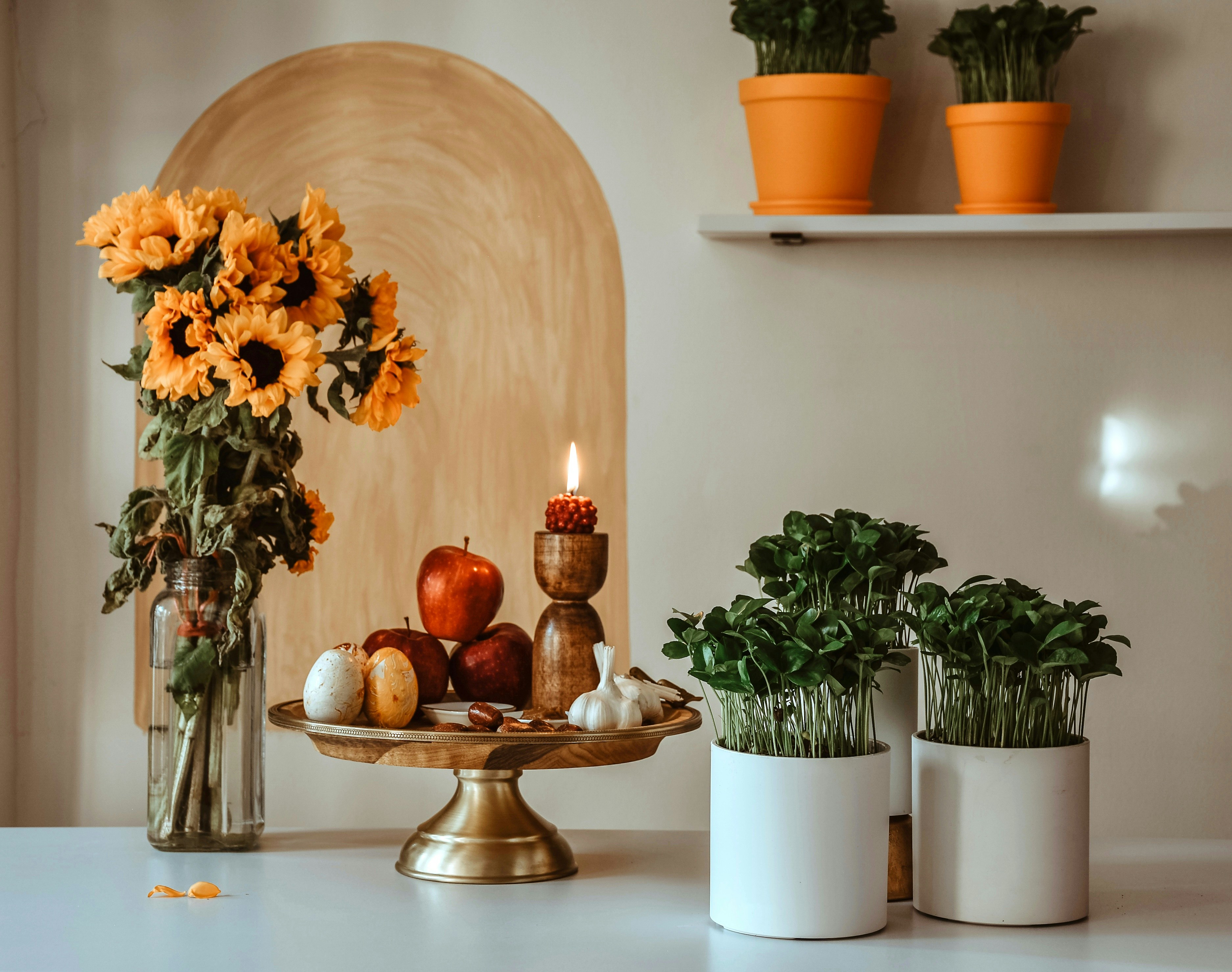 Photo by nasimkeshmiri