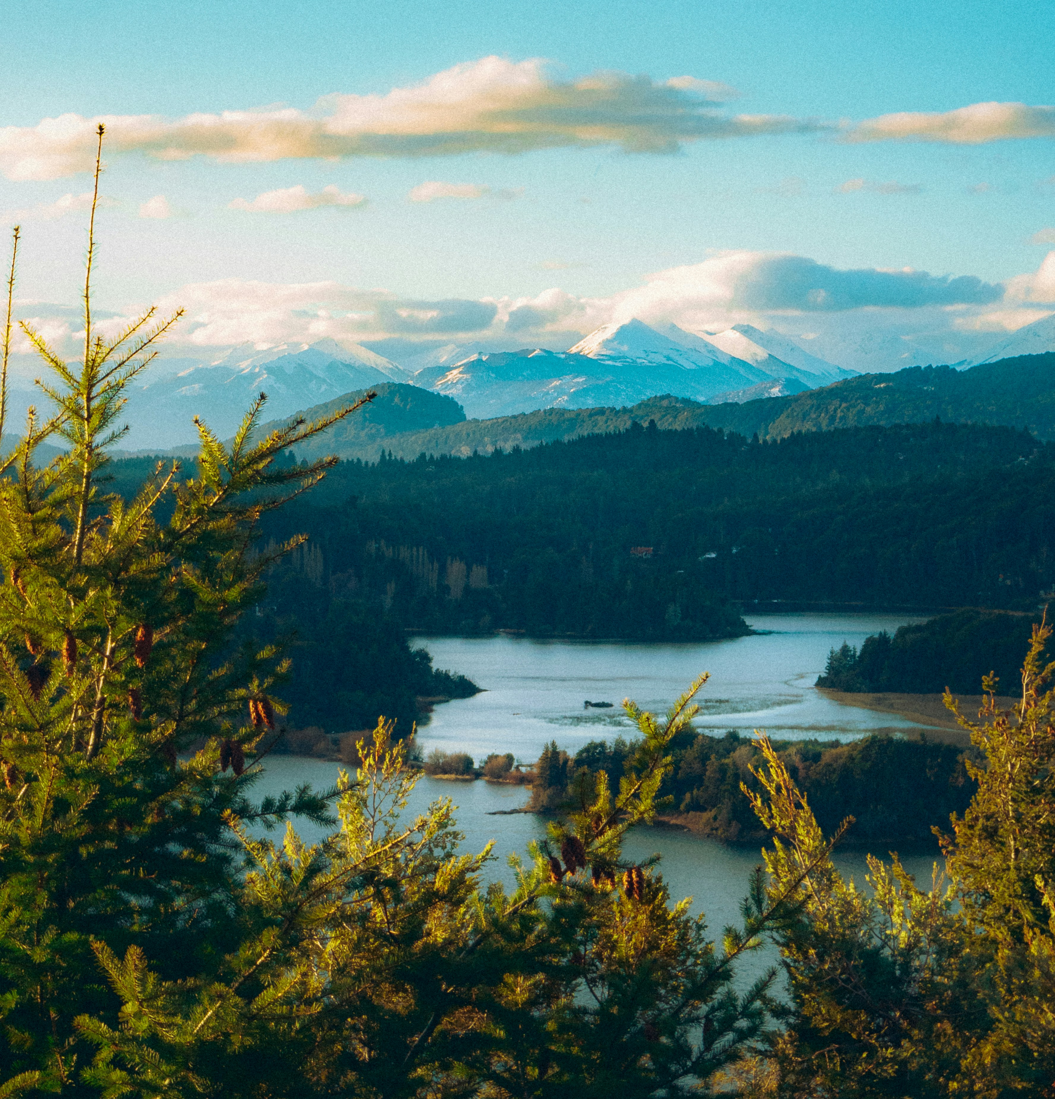 Photo by nature_of_the_experiment