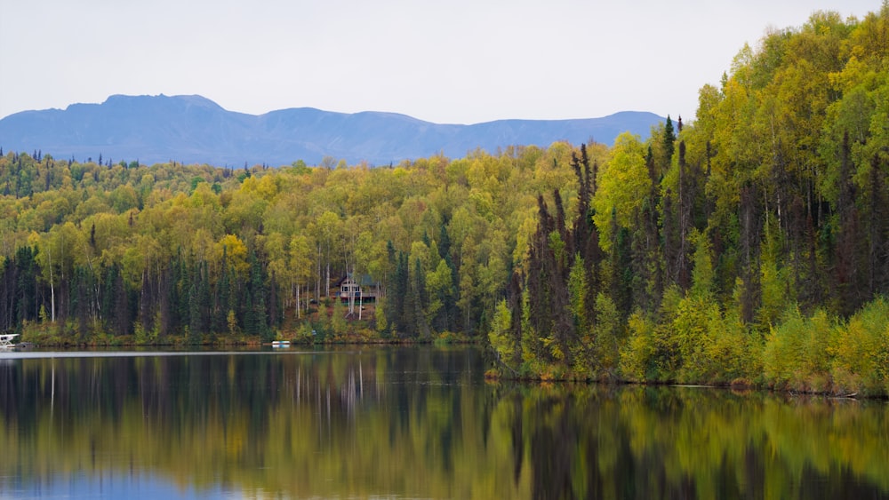 a body of water surrounded by trees and mountains