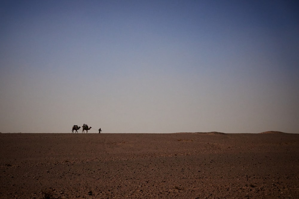two people riding a camel in the desert