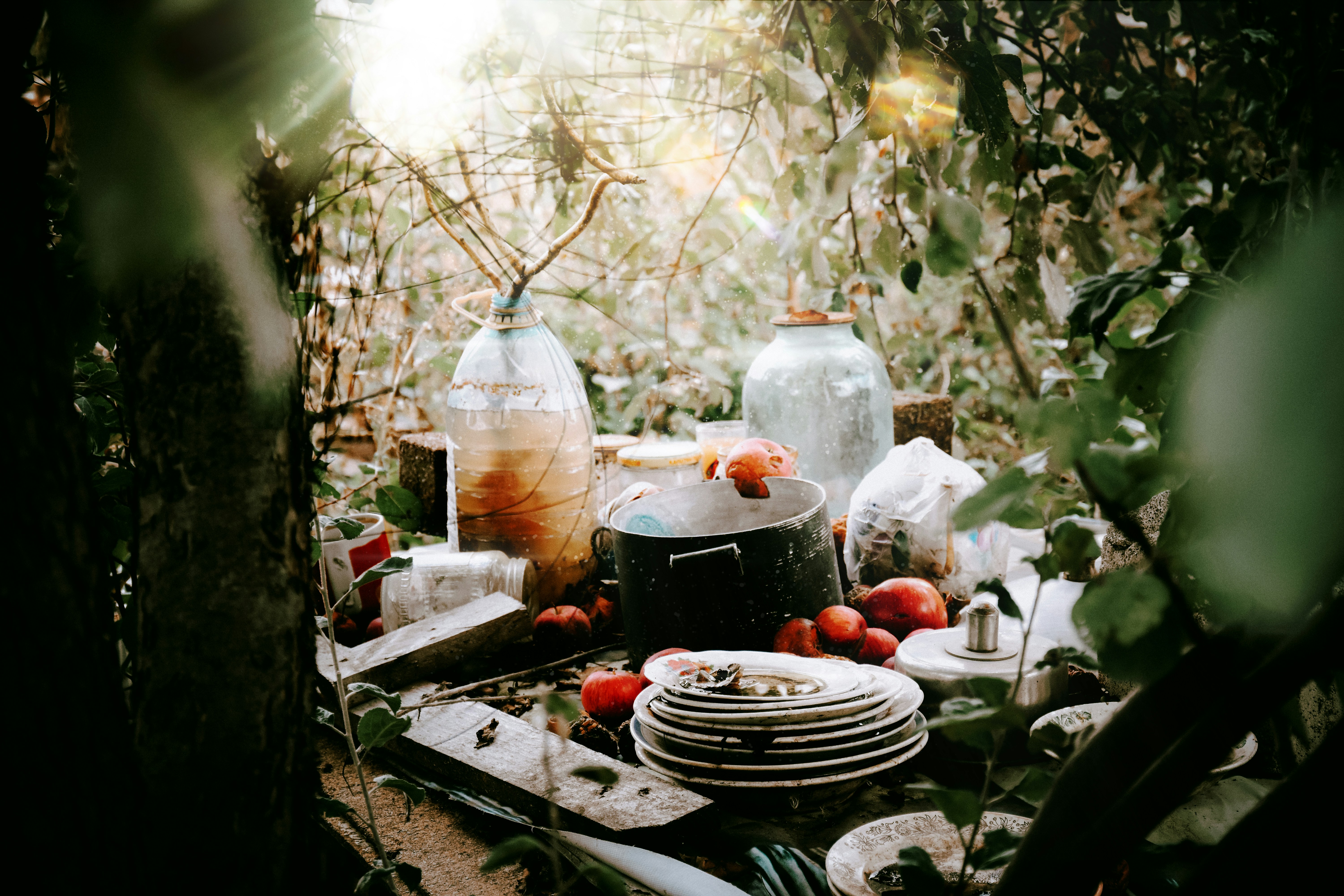 Electrodomésticos de calidad