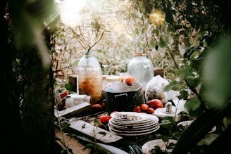 An assortment of household items, including plates, a pot, a bottle, and an assortment of fruits and vegetables, are scattered on a surface surrounded by dense foliage. The scene is outdoors, with sunlight filtering through the leaves and casting dappled light on the objects.