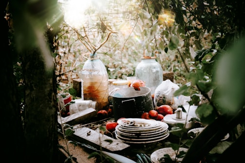 An assortment of household items, including plates, a pot, a bottle, and an assortment of fruits and vegetables, are scattered on a surface surrounded by dense foliage. The scene is outdoors, with sunlight filtering through the leaves and casting dappled light on the objects.