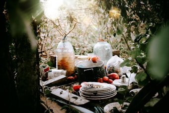 An assortment of household items, including plates, a pot, a bottle, and an assortment of fruits and vegetables, are scattered on a surface surrounded by dense foliage. The scene is outdoors, with sunlight filtering through the leaves and casting dappled light on the objects.