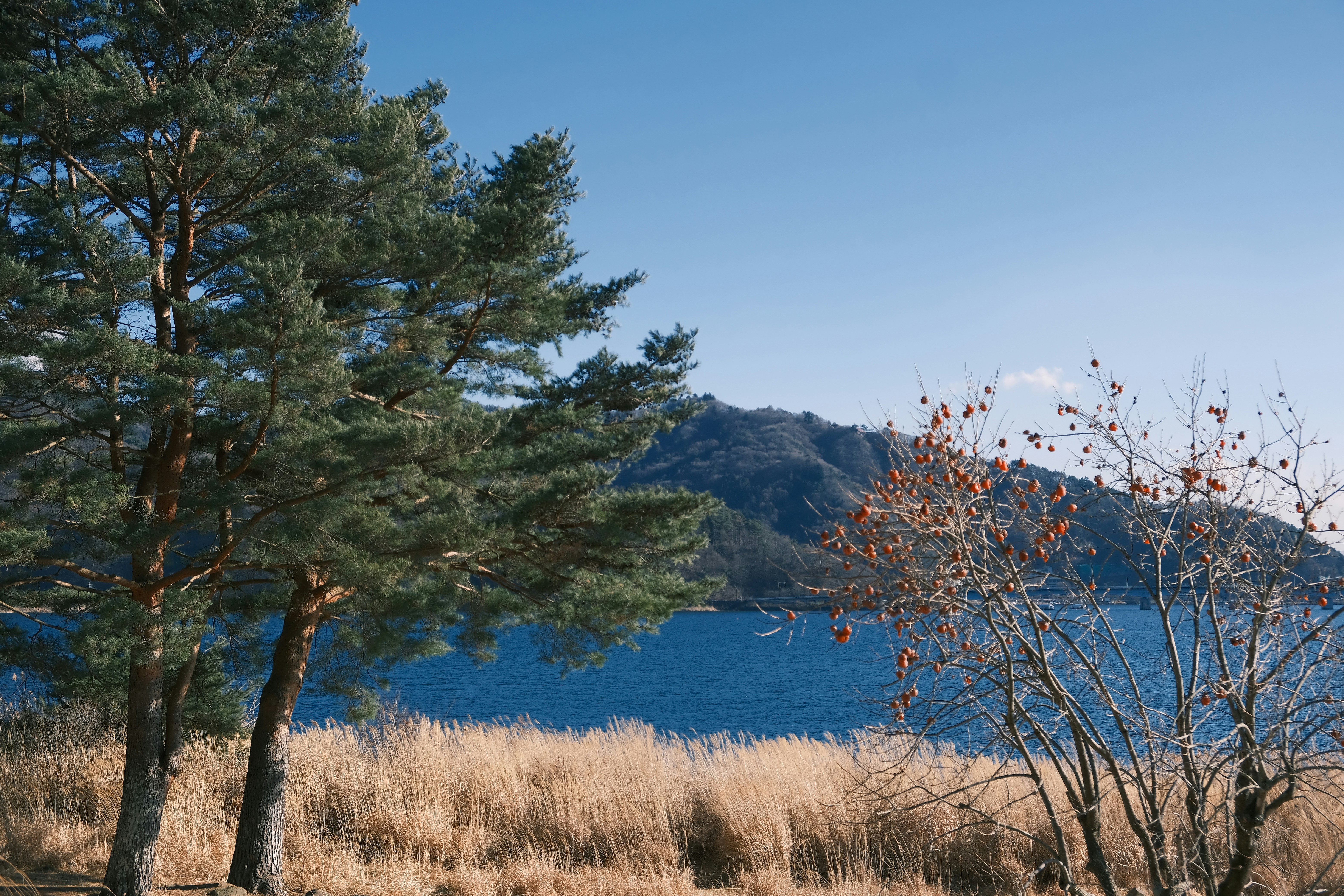 Photo by chanwei_snap