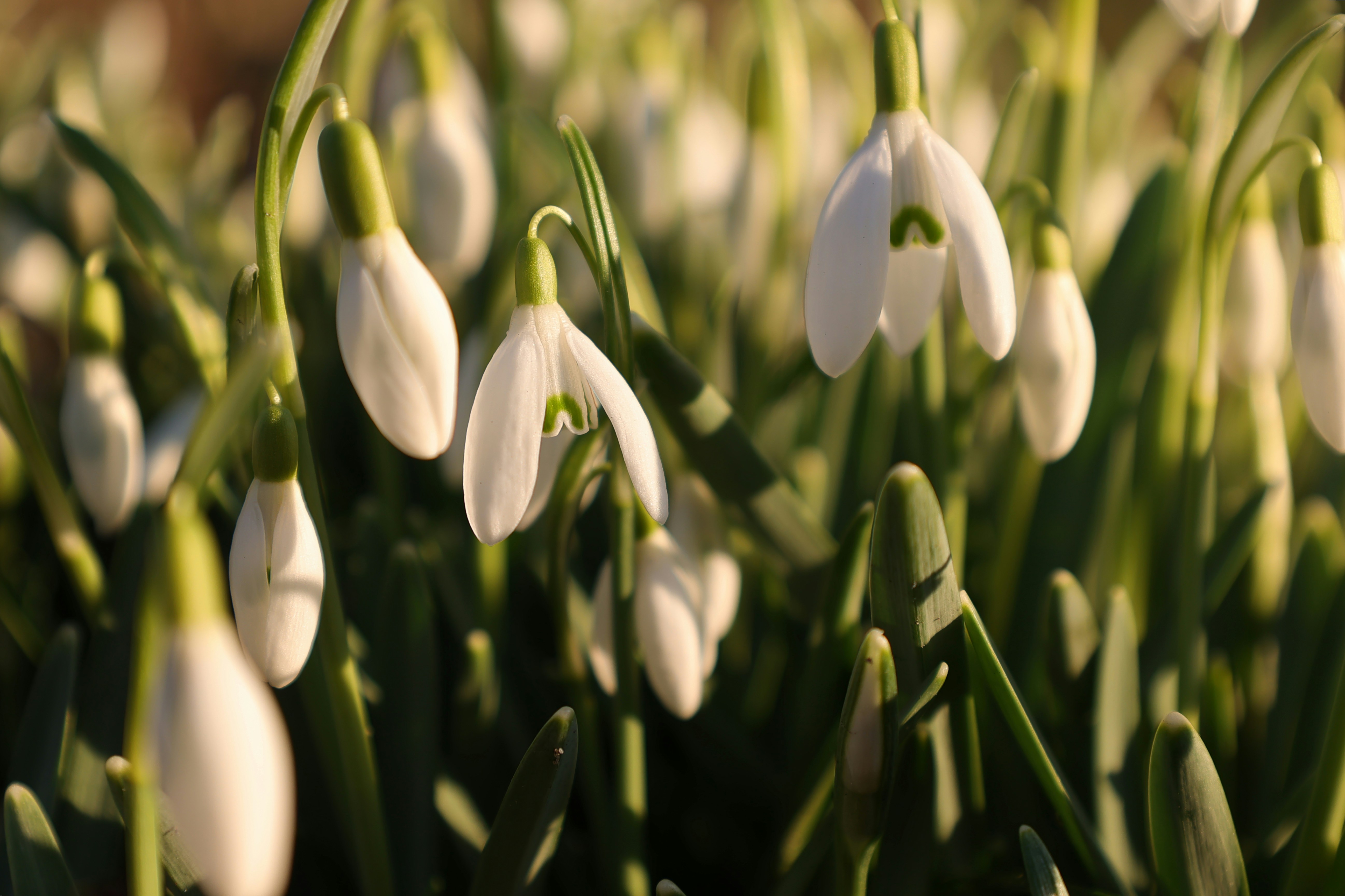 Photo by j_blueberry