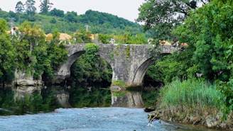 An ancient stone bridge spanning a serene river.
