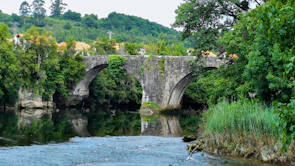 An ancient stone bridge arching over a serene river surrounded by lush greenery.