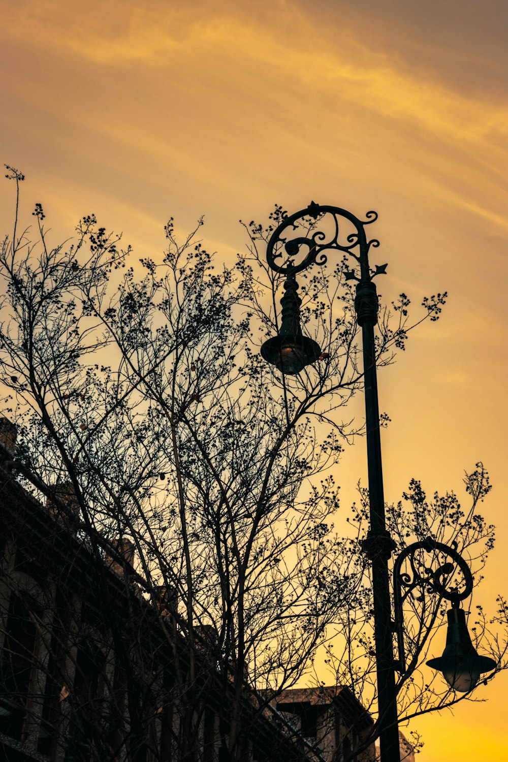 a street light next to a tree with no leaves