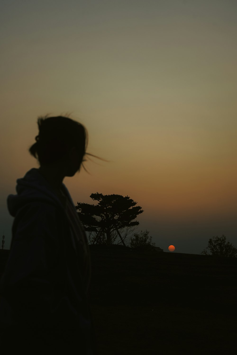 a person standing in a field at sunset