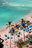 A vibrant beach scene in Kerala with palm trees swaying beside turquoise waters