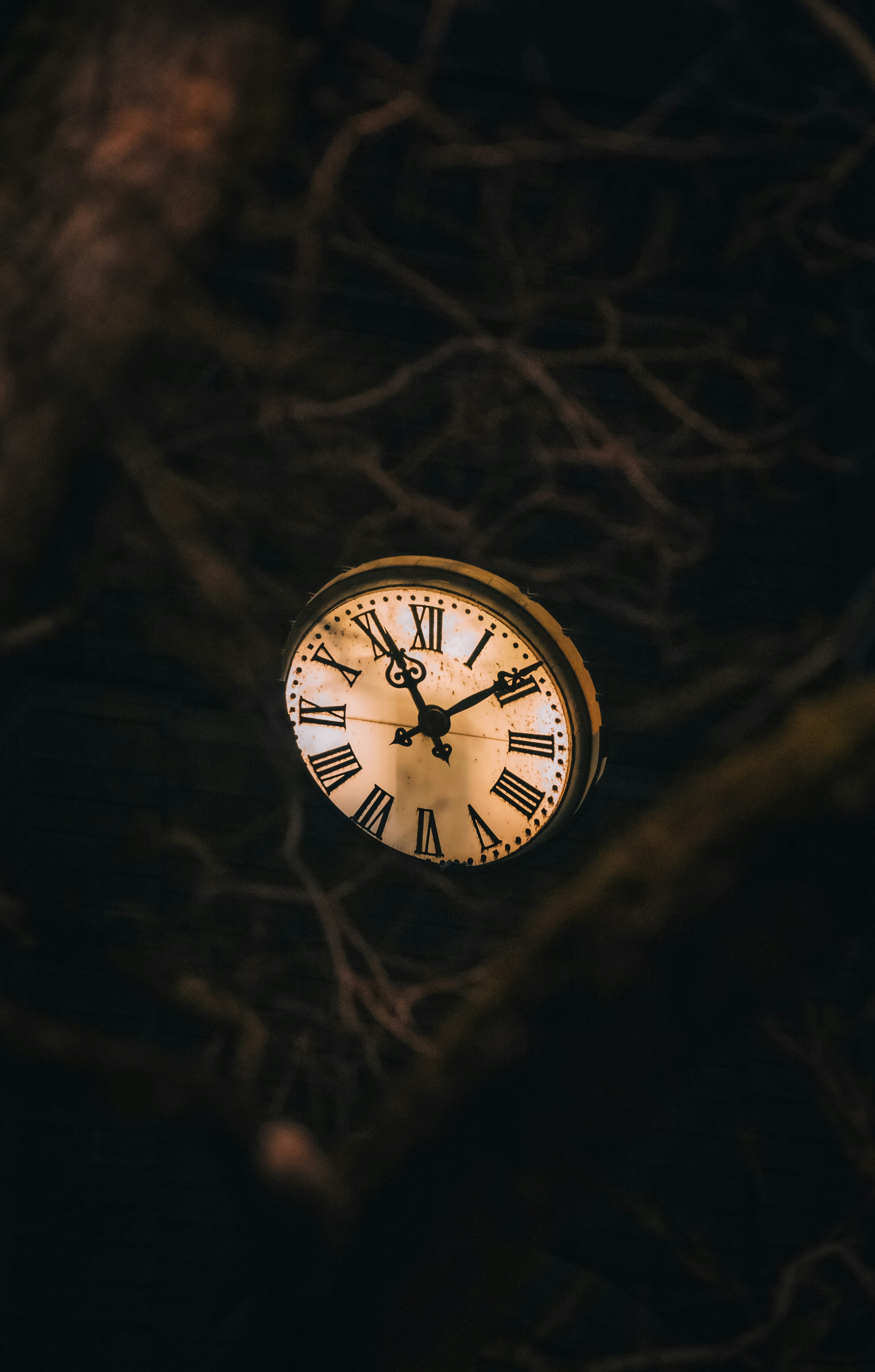 Photo by watchelijah