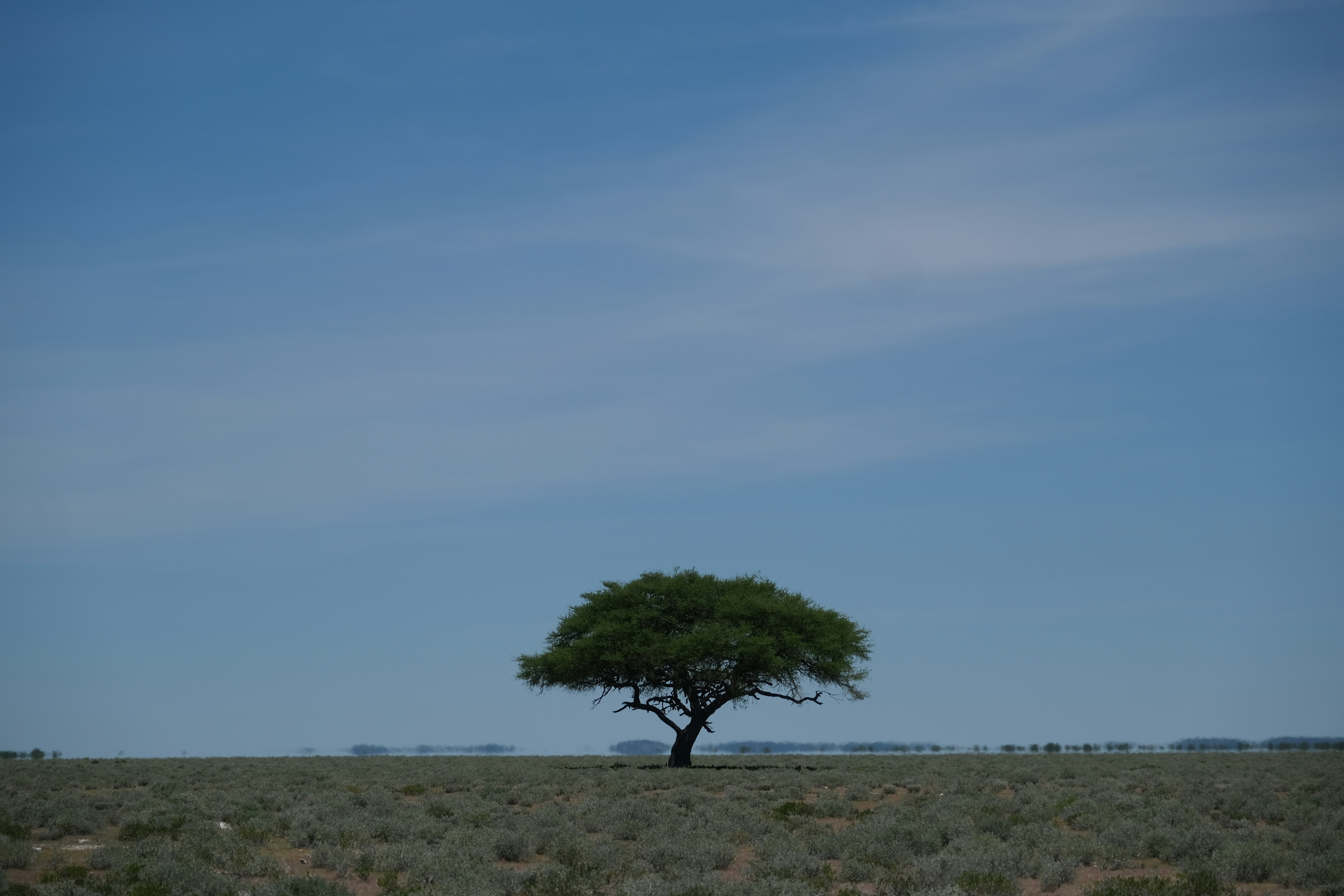 Khorixas – Natural Environment & Landscapes