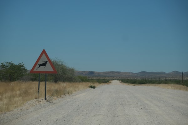 Safari Namibië