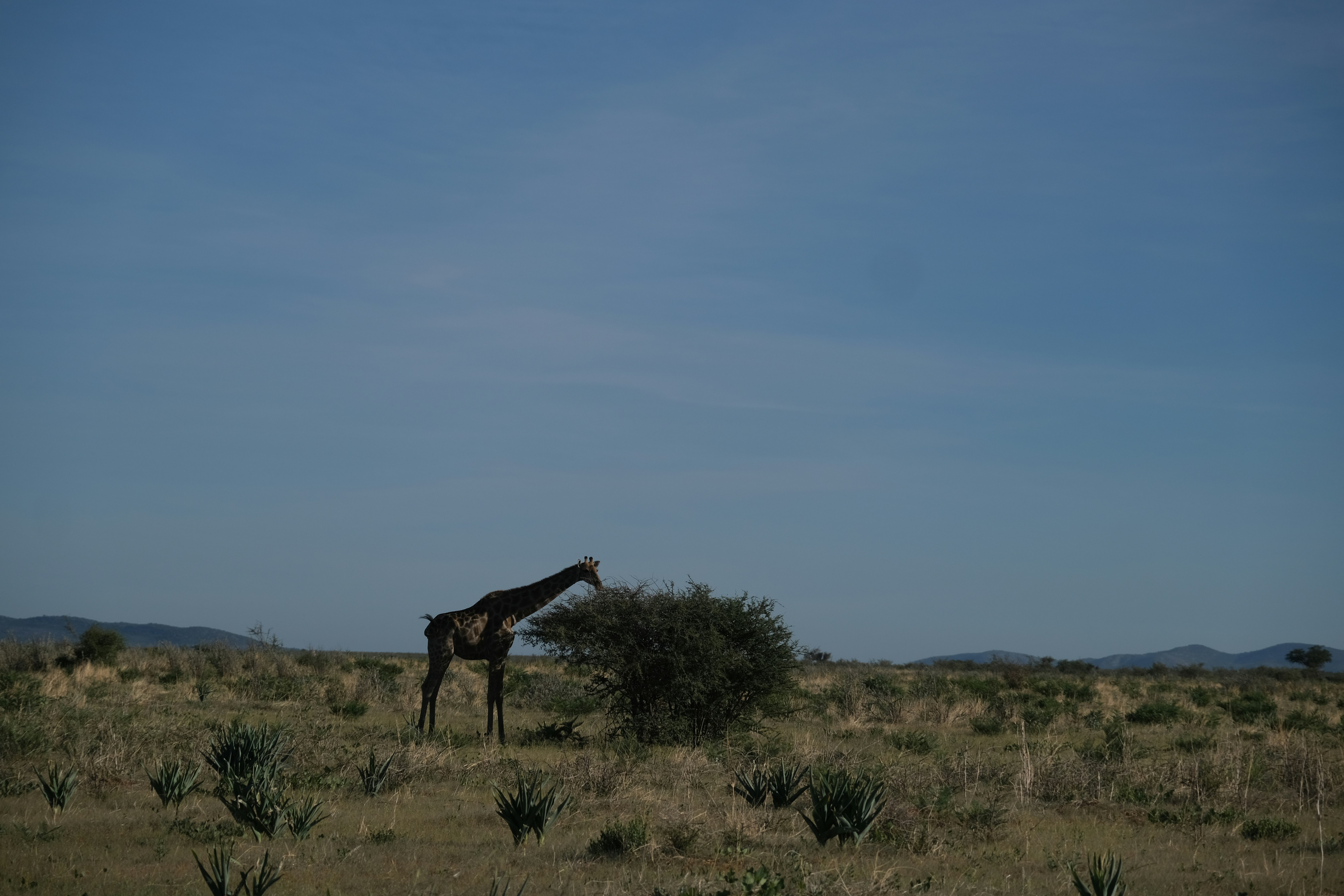 Israel strikes Tehran, Beirut as Trump mulls 'winding down' war