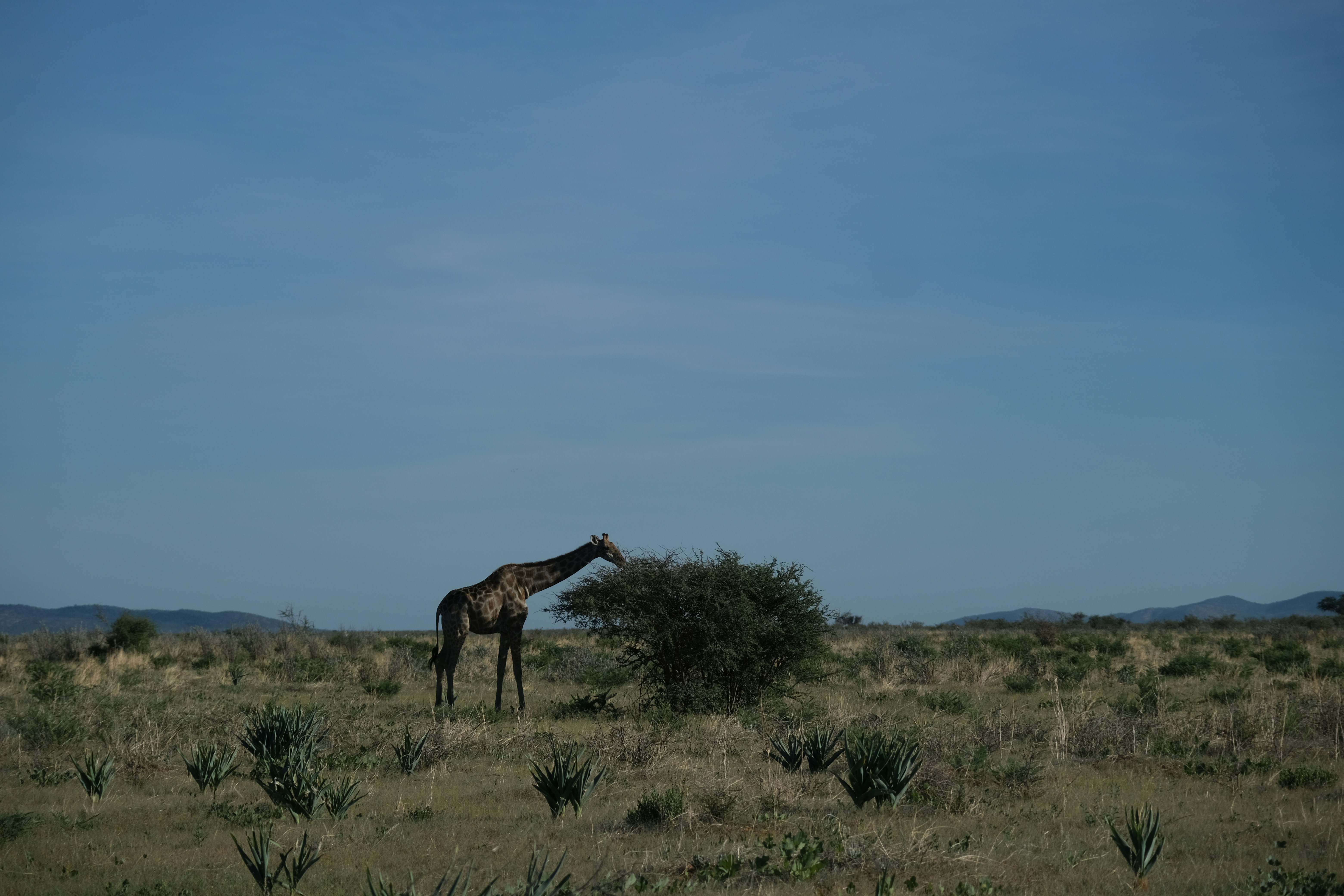 Mining and Resource Extraction: Digging Away the Future (image credits: unsplash)