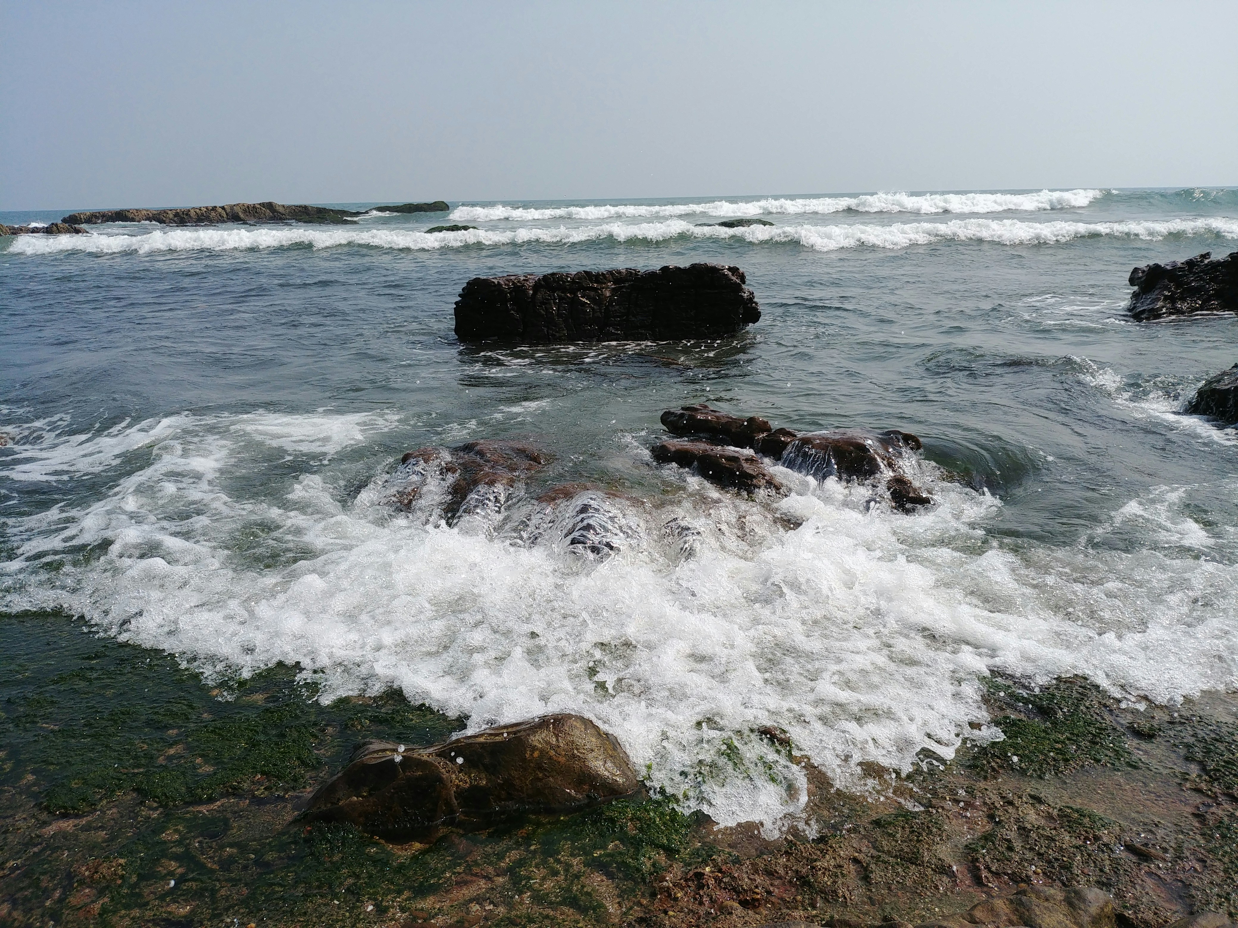 Photo by satishdharmavarapu