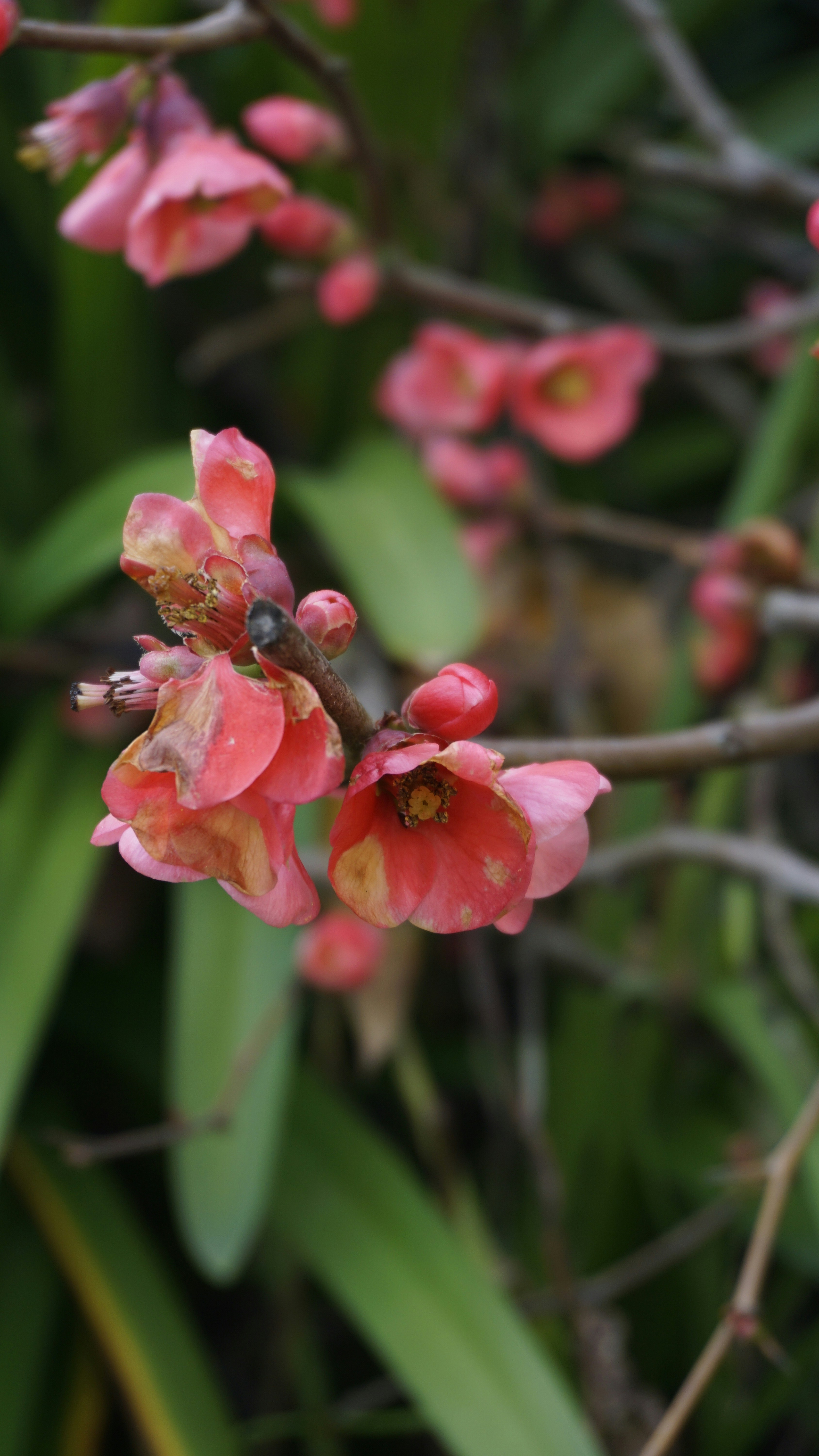 Photo by hardialsingh