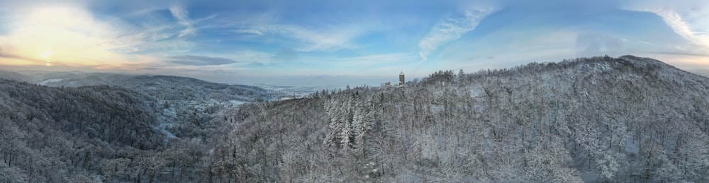 a snowy mountain covered in trees under a cloudy sky