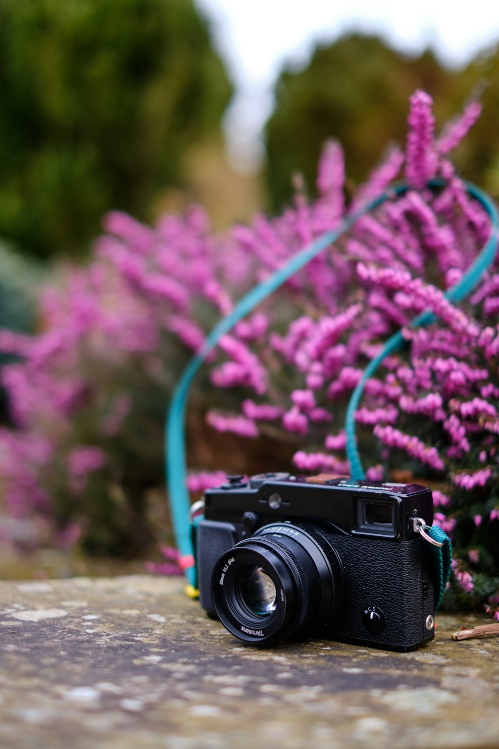 a camera sitting on top of a rock next to purple flowers